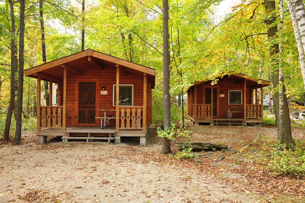 Tranquil Timbers Cabin 11 ستورغون باي المظهر الخارجي الصورة